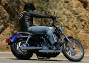 Harley-Davidson XL1200 C Sportster